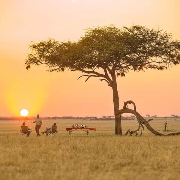 serengeti mara safari area
