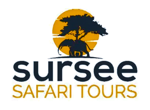 Sursee Tours and safari