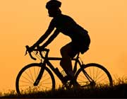 biking and cycling safari