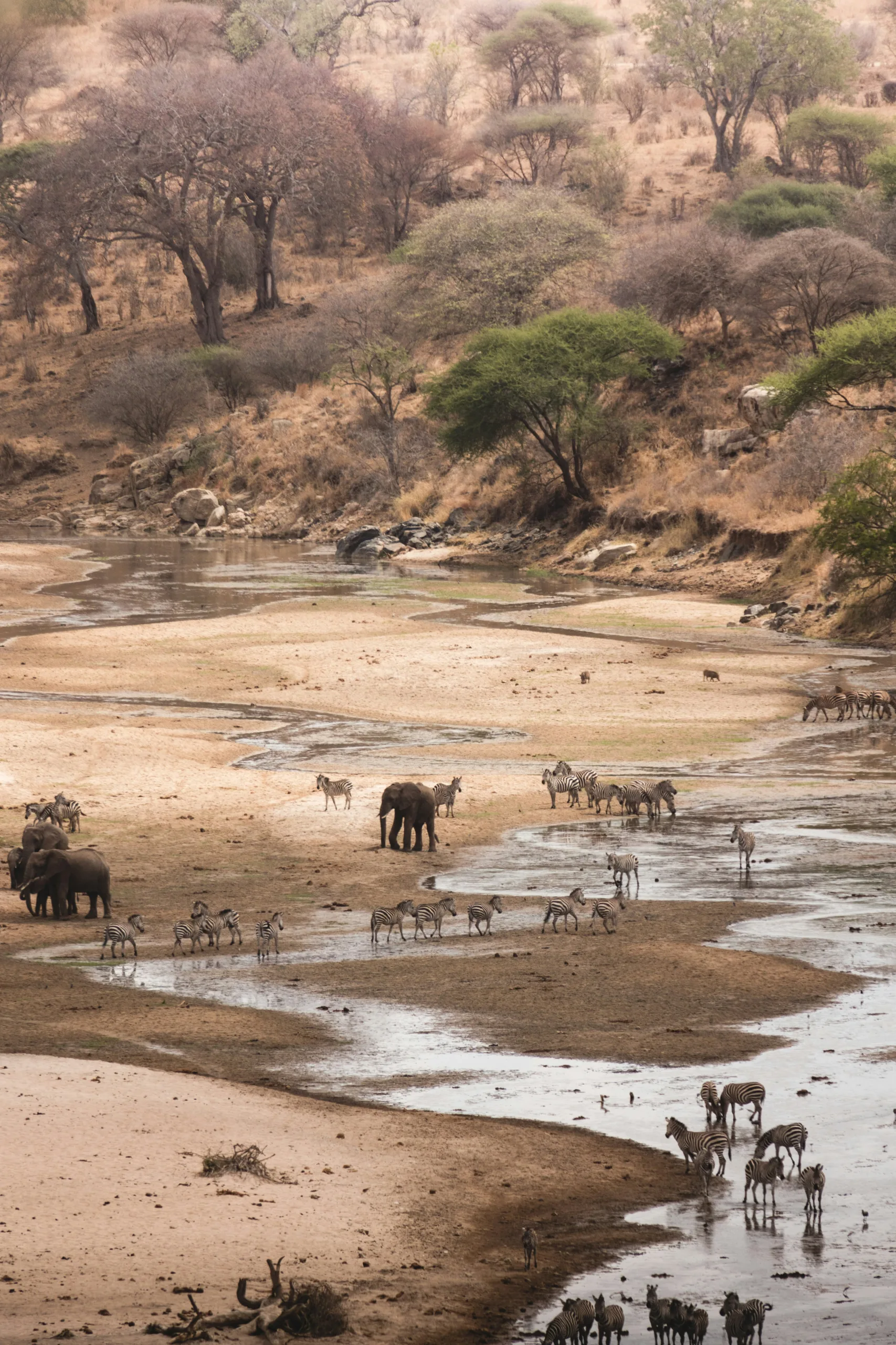 Where is the best place for safari in Tanzania?